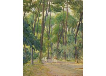 Pineta della Versilia Pineta della Versilia